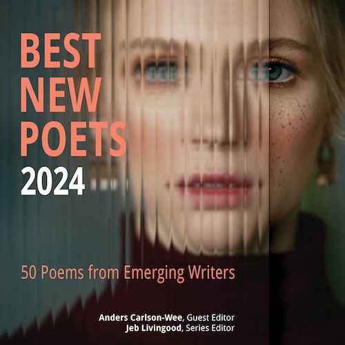 Cover for Best New Poets 2024