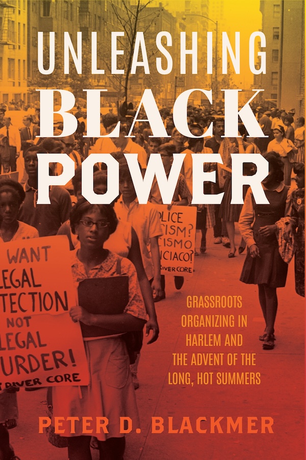 cover of Unleashing Black Power