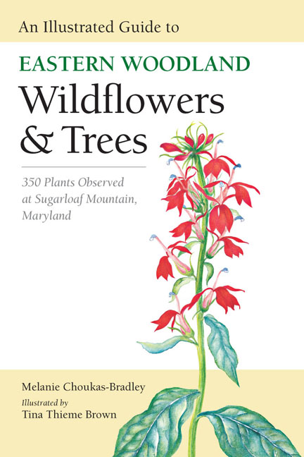 Cover for An Illustrated Guide to Eastern Woodland Wildflowers and Trees