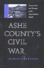 Cover for Ashe County's Civil War