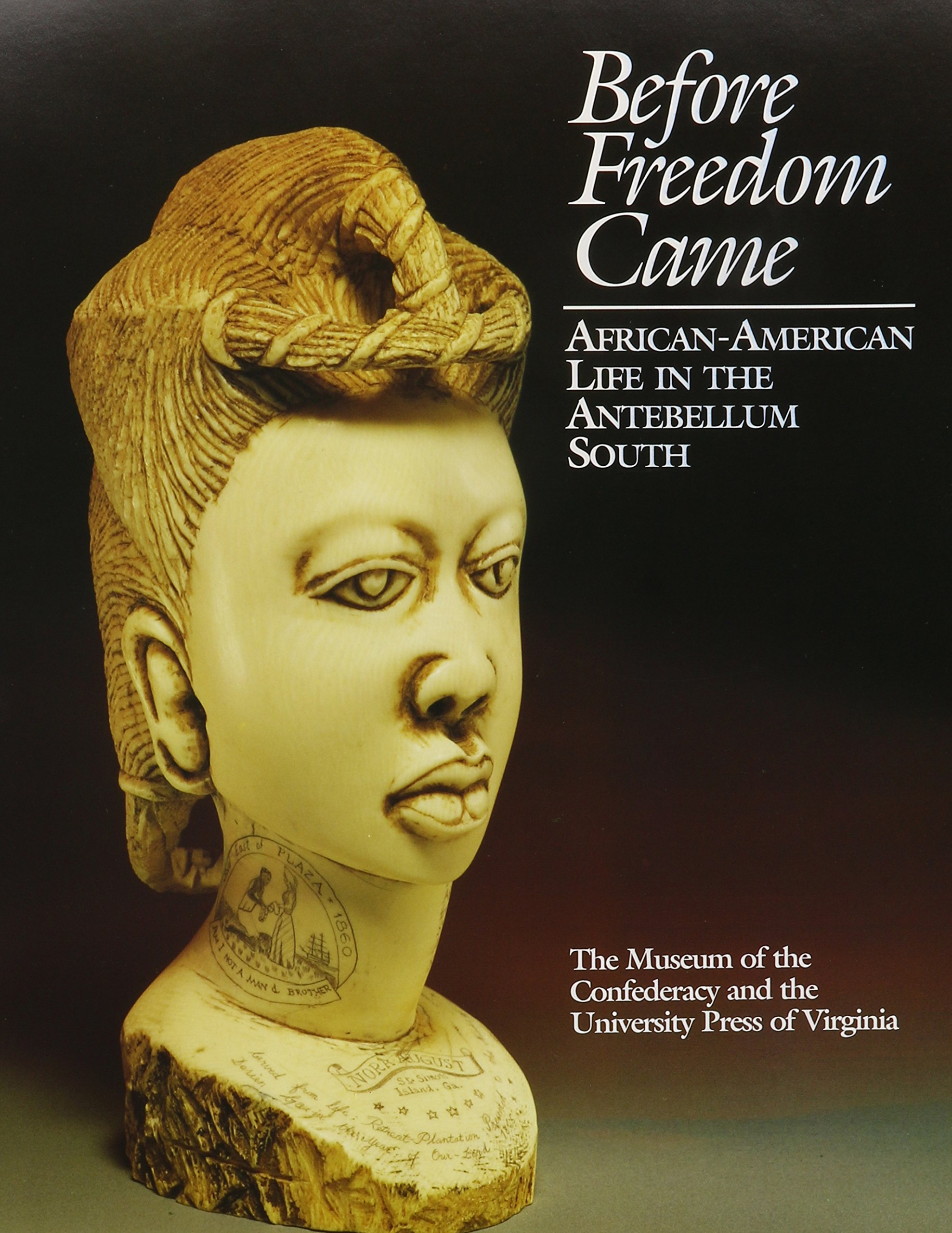 Cover for Before Freedom Came