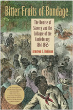 Cover for Bitter Fruits of Bondage