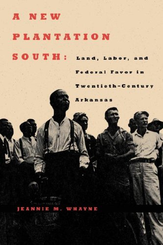 Cover for A New Plantation South