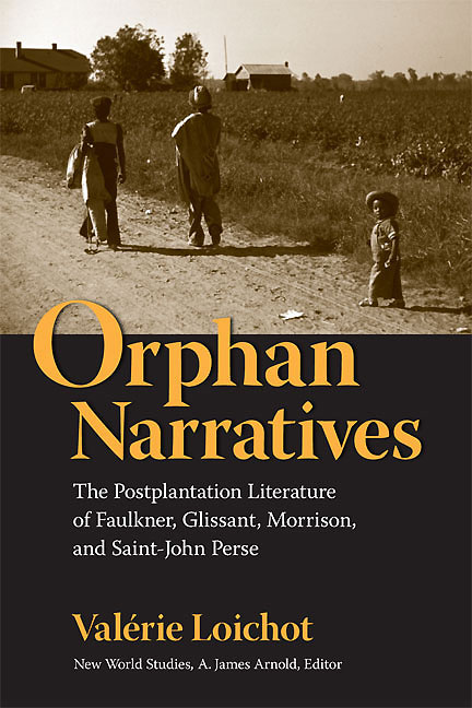 Cover for Orphan Narratives