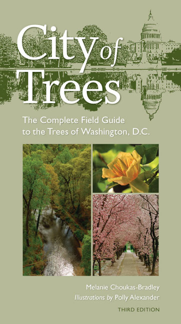 Cover for City of Trees