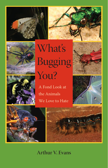 Cover for What's Bugging You?
