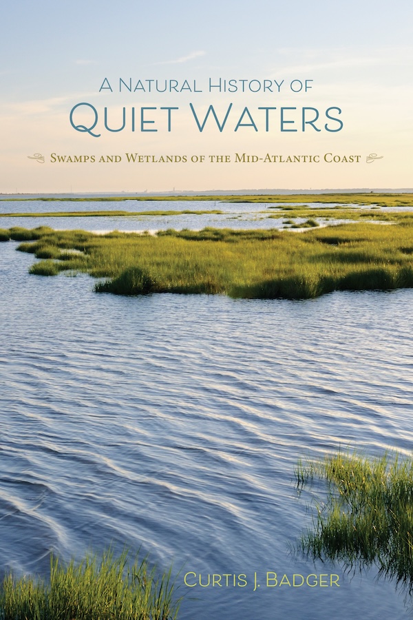 Cover for A Natural History of Quiet Waters