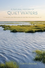 Cover of A Natural History of Quiet Waters