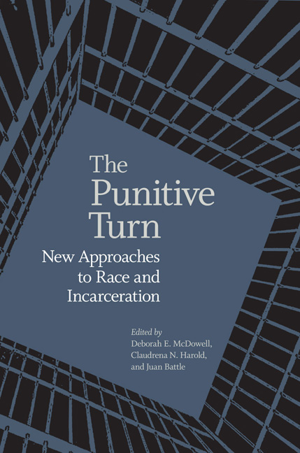 Cover for The Punitive Turn