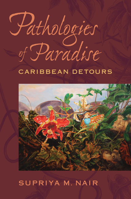 Cover for Pathologies of Paradise