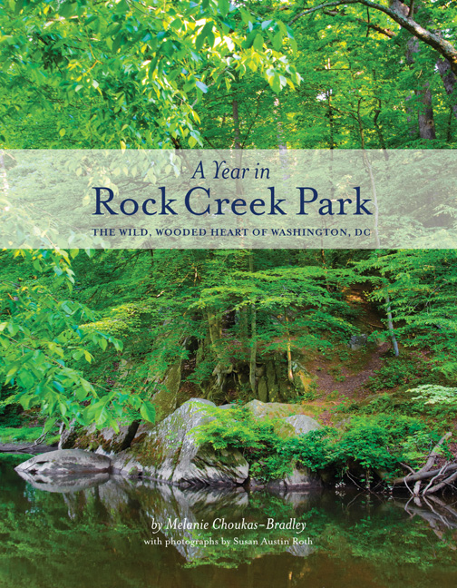 Cover for A Year in Rock Creek Park