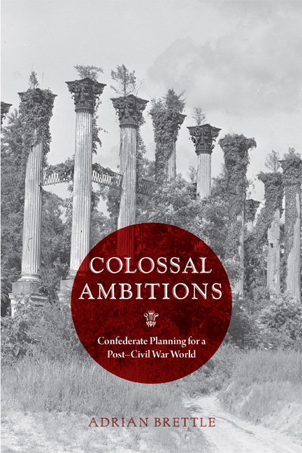 Cover for Colossal Ambitions