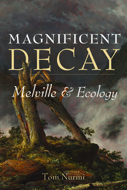 Cover for Magnificent Decay