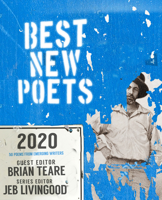 Cover for Best New Poets 2020