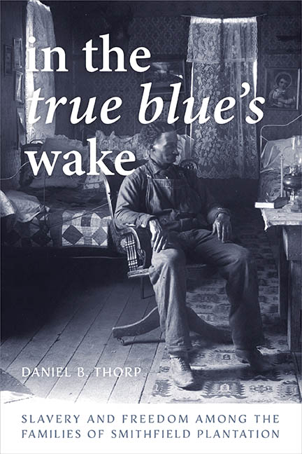 Cover for In the True Blue's Wake