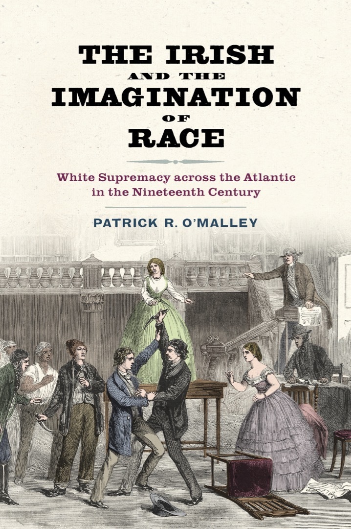 Cover for The Irish and the Imagination of Race